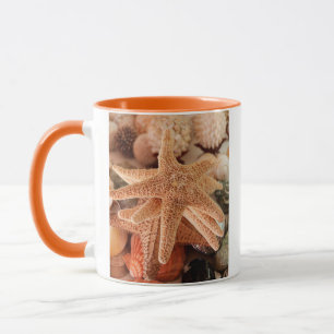 Meeresmuscheln zu verkaufen Zihuatanejo, Mexiko Tasse