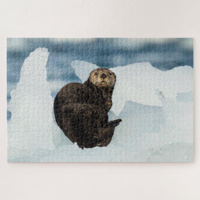 Meeresrauscher (Horizontal)