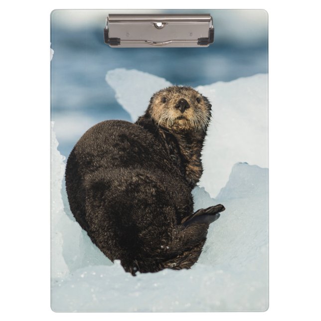 Meeresrauscher Klemmbrett (Vorderseite)