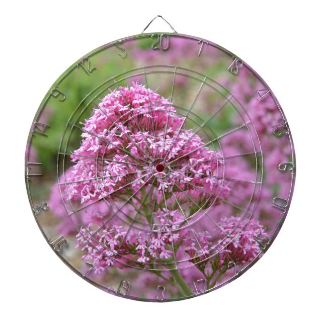 Meeresrosa Dartscheibe (vorne)
