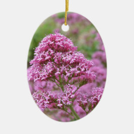 Meeresrosa Keramikornament
