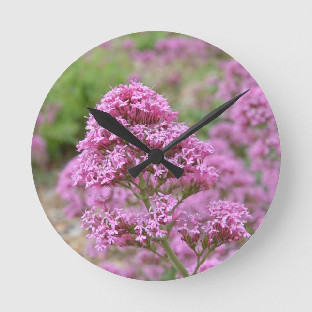Meeresrosa Runde Wanduhr (Vorderseite)
