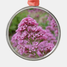 Meeresrosa Silbernes Ornament