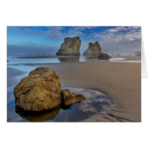 Meeressäulen am Bandon Beach in Bandon, Oregon 2