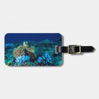 Meeresschildkröte auf dem Great Barrier Reef Gepäckanhänger