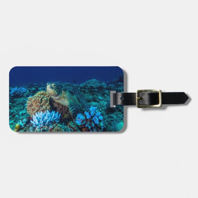 Meeresschildkröte auf dem Great Barrier Reef Gepäckanhänger (Vorderseite horizontal)