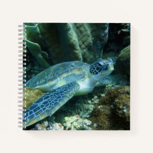 Meeresschildkröte auf dem Meeresboden-Foto Notizbuch