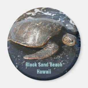 Meeresschildkröte auf schwarzem Sand-Strand Hawai Magnet