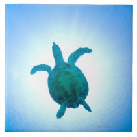 Meeresschildkröte, die underwater schwimmt