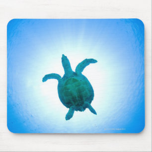 Meeresschildkröte, die underwater schwimmt mousepad
