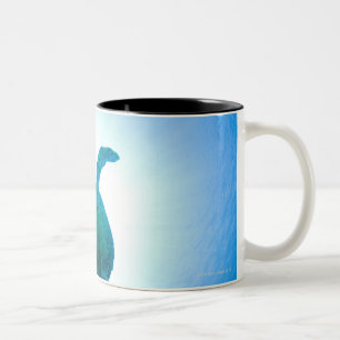 Meeresschildkröte, die underwater schwimmt zweifarbige tasse