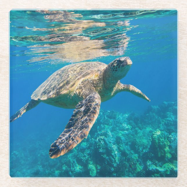 Meeresschildkröte Glasuntersetzer (Vorderseite)