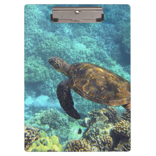 Meeresschildkröte Klemmbrett