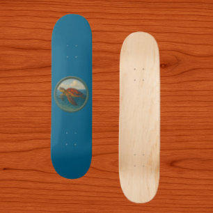 Meeresschildkröte Ozean Blau Skateboard