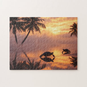 Meeresschildkröte Sonnenuntergang am Strand