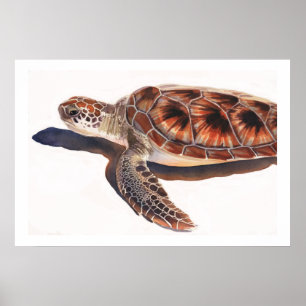 Meeresschildkröte-Tier-Aquarell-Kunst Poster
