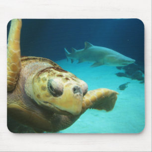 Meeresschildkröte und Haifisch Mousepad