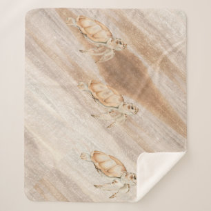 Meeresschildkröten am Strand Sherpadecke