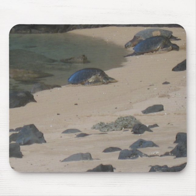 Meeresschildkröten auf Kauis mousepad Küste Na (Vorne)