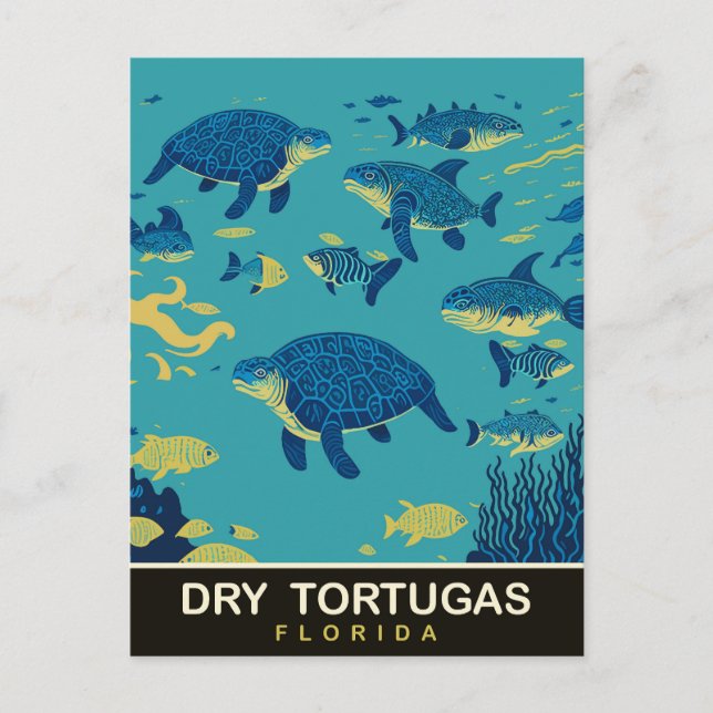 Meeresschildkröten bei Dry Tortugas FL, Reisen Postkarte (Vorderseite)