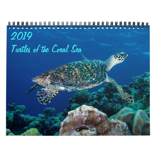 Meeresschildkröten des Korallenmeers 2021 Kalender (Titelbild)