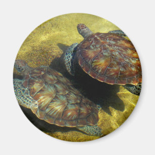 Meeresschildkröten Magnet