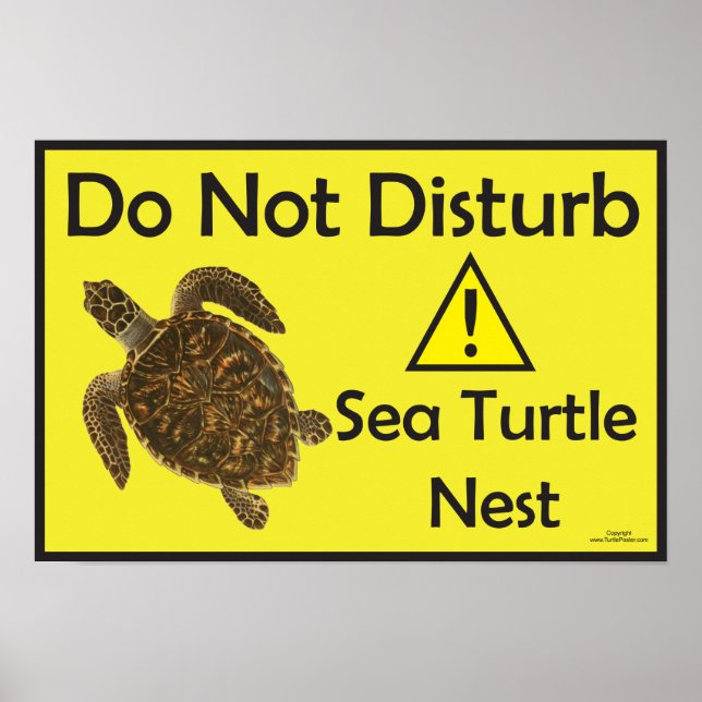 Meeresschildkröten-Nest-Poster darf nicht gestört  Poster (Vorne)