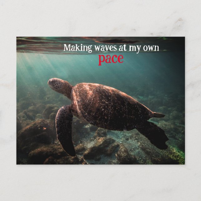 Meeresschildkröten schwimmen unter Wasser Postkarte (Vorderseite)