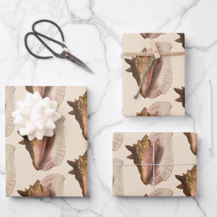Meeresschnecke Königin Tritonschnecke Muschel, Vin Geschenkpapier Set
