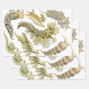 Meeresschnecken, Schnecken von Ernst Haeckel, Vint Geschenkpapier Set