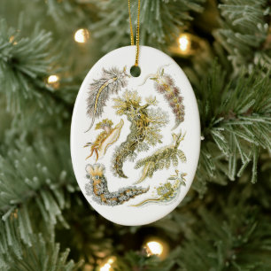 Meeresschnecken, Schnecken von Ernst Haeckel, Vint Keramik Ornament