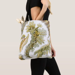 Meeresschnecken, Schnecken von Ernst Haeckel, Vint Tasche