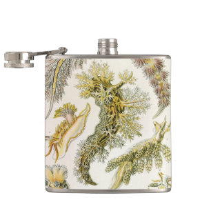 Meeresschnecken von Ernst Haeckel, Vintage Nudibra Flachmann