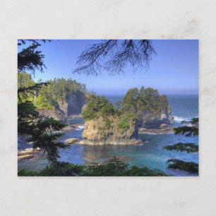 Meeresstacks, Makah Nation Stammesland, Kap Postkarte
