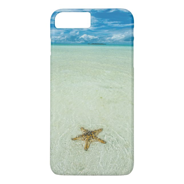 Meerestern in flachem Wasser, Palau Case-Mate iPhone Hülle (Rückseite)