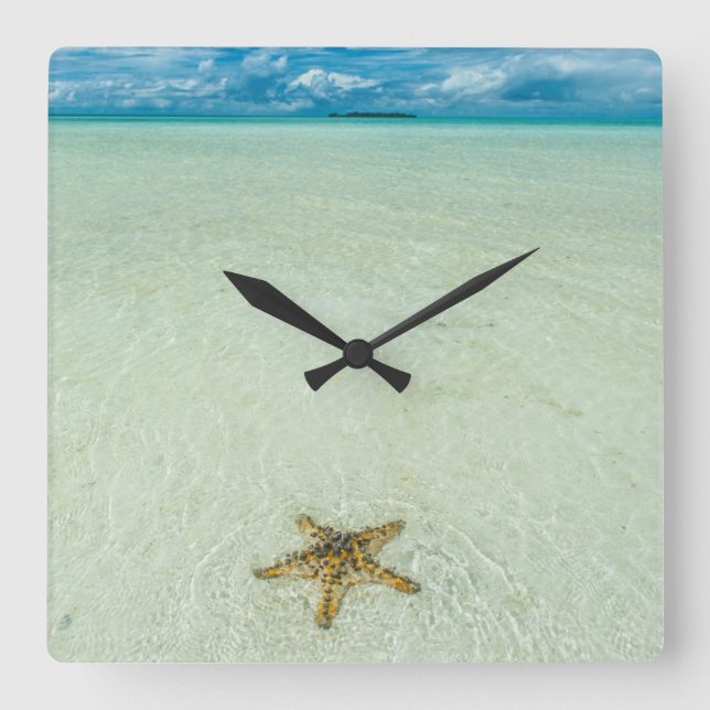 Meerestern in flachem Wasser, Palau Quadratische Wanduhr (Vorderseite)