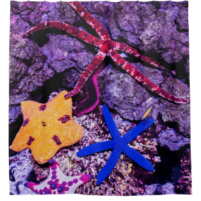 Meerestiere Duschvorhang (Vorderseite)