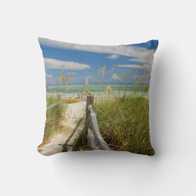 Meerestiere (Uniola paniculata), die am Strand ang Kissen (Vorderseite)