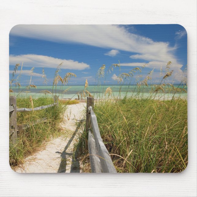 Meerestiere (Uniola paniculata), die am Strand ang Mousepad (Vorne)