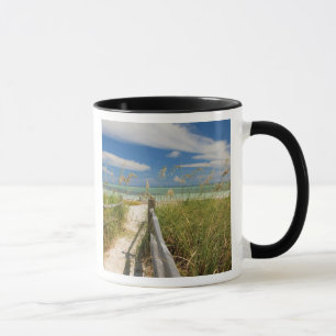 Meerestiere (Uniola paniculata), die am Strand ang Tasse