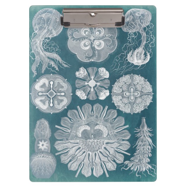 Meereswelt Blueprint IV Klemmbrett (Vorderseite)