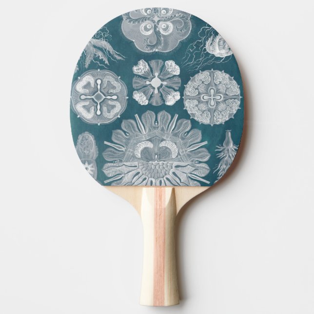Meereswelt Blueprint IV Tischtennis Schläger (Vorderseite)