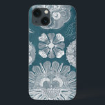 Meereswelt-Plan IV Case-Mate iPhone Hülle<br><div class="desc">Meeresflora und -fauna</div>