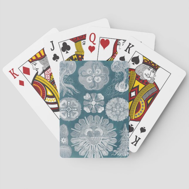 Meereswelt-Plan IV Spielkarten (Rückseite)