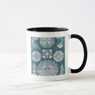 Meereswelt-Plan IV Tasse
