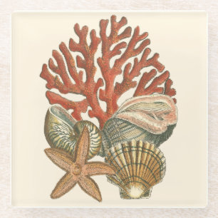 Meereswelt-Sammlung Glasuntersetzer