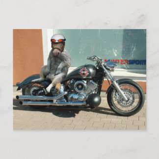 Meerhorse Biker Postkarte
