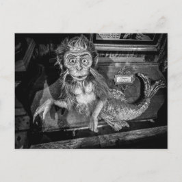 Meerjungfrau-Aff-Taxidermie-Rarität Postkarte