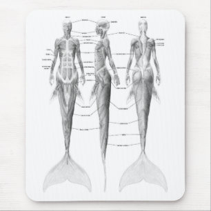 MEERJUNGFRAU-ANATOMIE MOUSEPAD