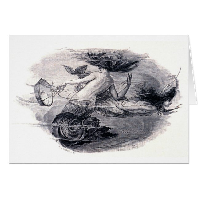 Meerjungfrau-Illustration (Vorderseite (Horizontal))